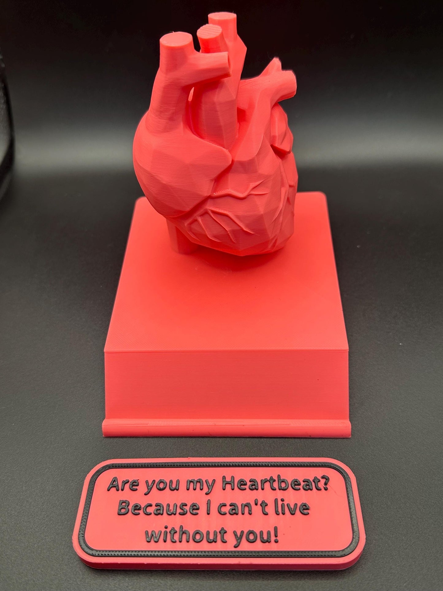 You Are My Heartbeat – Valentine’s Day 3D Anatomical Heart Display