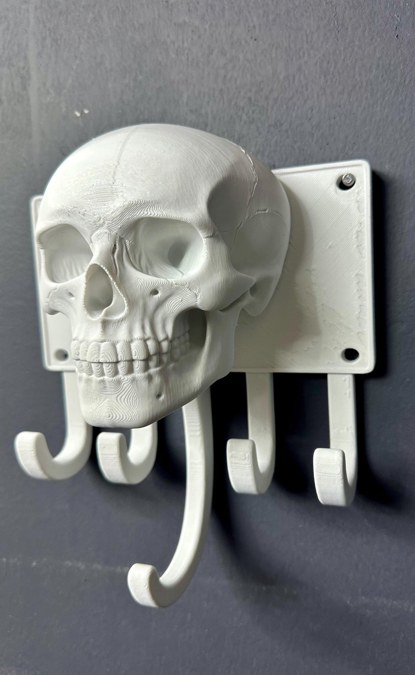 Goth Human Skull Coat Holder