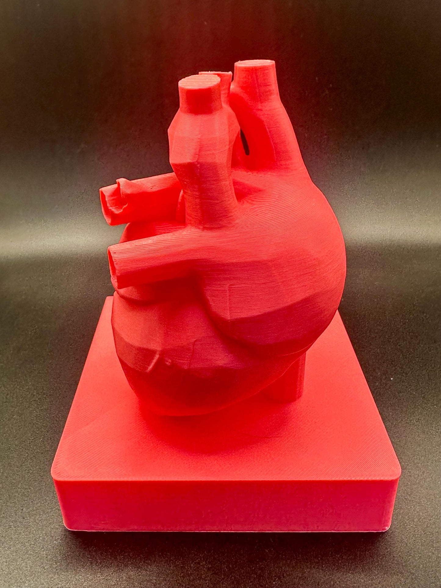 You Are My Heartbeat – Valentine’s Day 3D Anatomical Heart Display