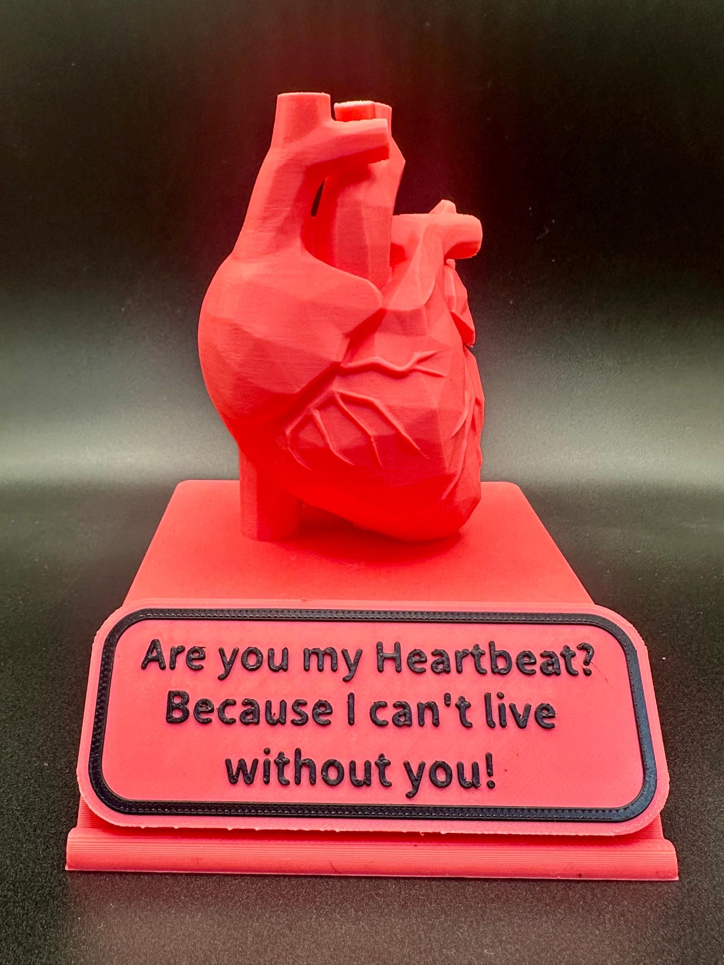 You Are My Heartbeat – Valentine’s Day 3D Anatomical Heart Display