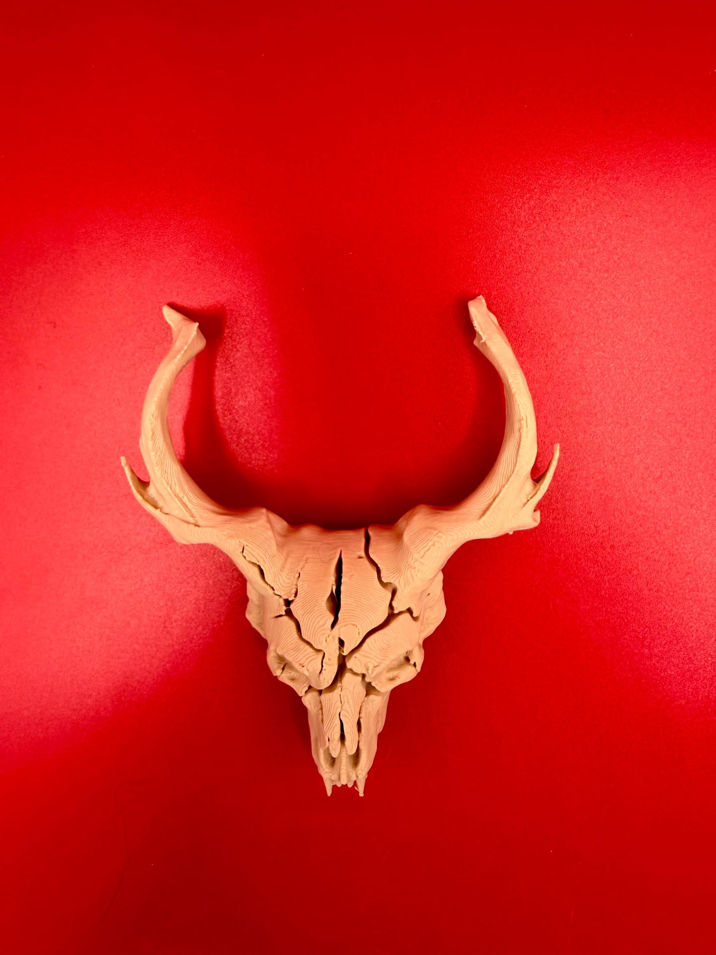 Demonic Shaman Skull Accent – Cigar Box Topper