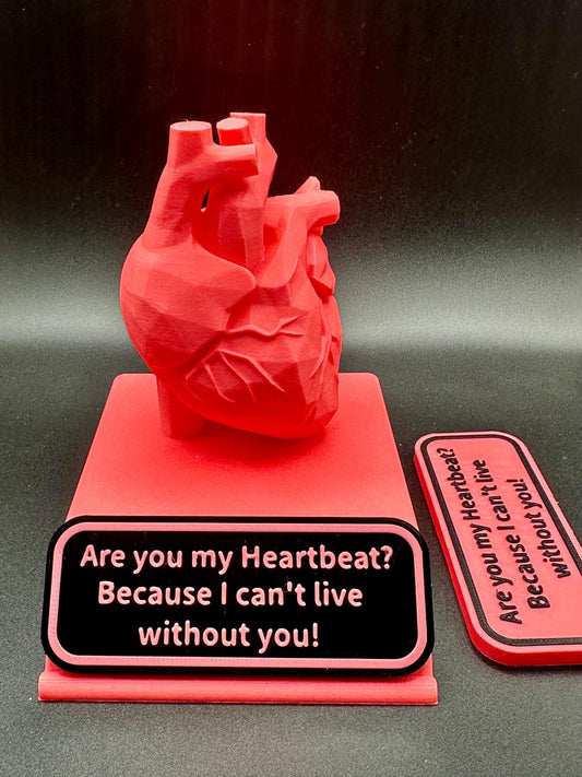 You Are My Heartbeat – Valentine’s Day 3D Anatomical Heart Display