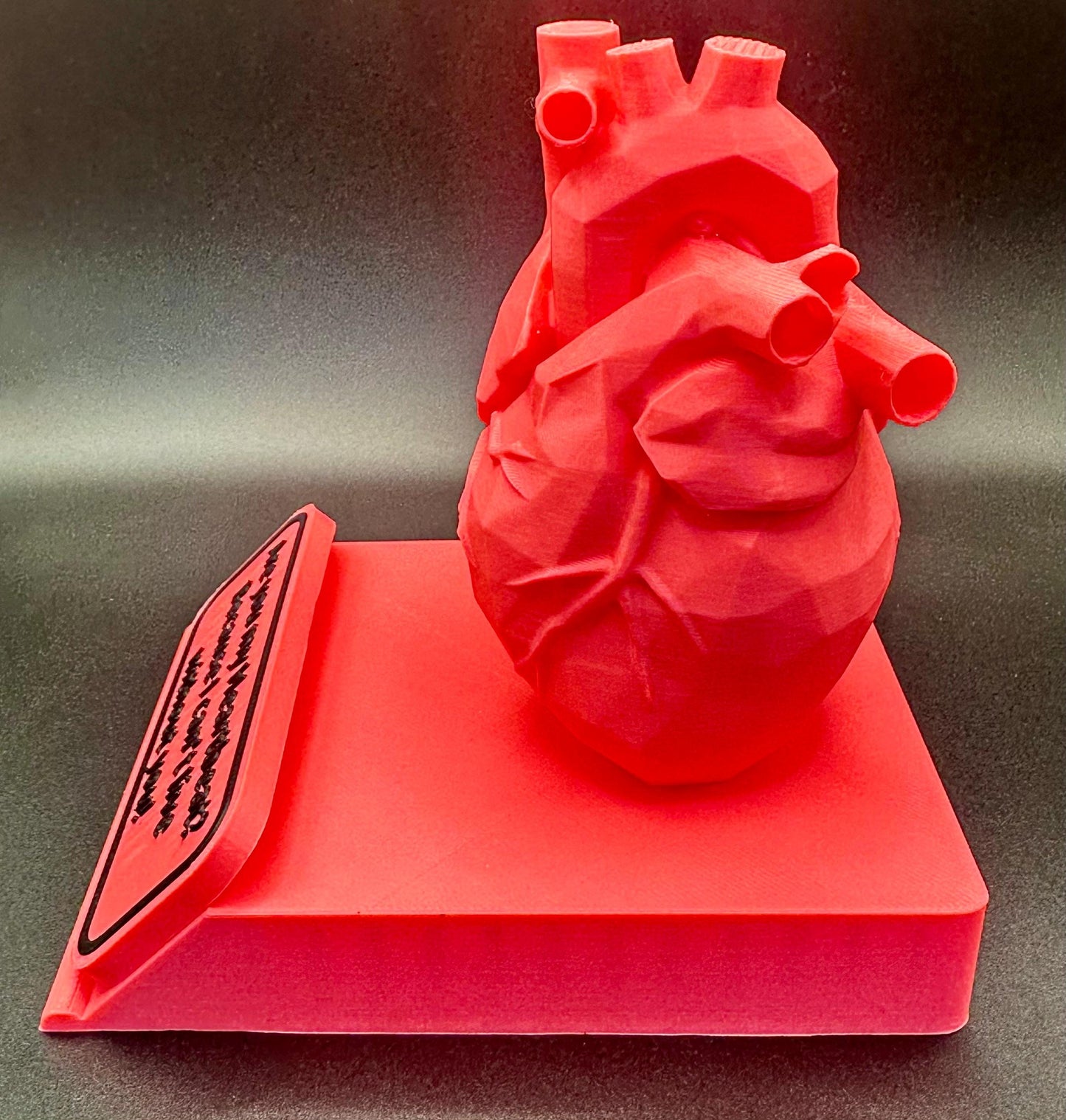 You Are My Heartbeat – Valentine’s Day 3D Anatomical Heart Display